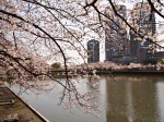 รางวัลของการเดินทาง : Kema Sakuranomiya Park, Osaka