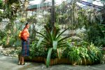 Floral Fantasy – Gardens by the Bay สิงคโปร์