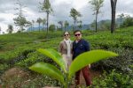 Nuwara Eliya – Tea Plantation of the World & Little England of Sri Lanka