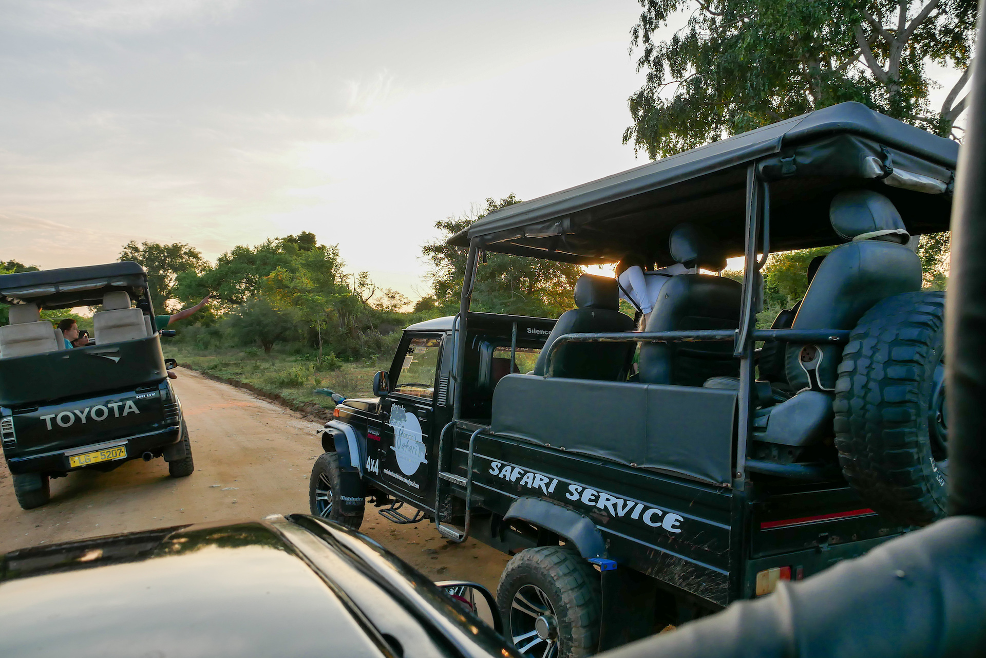 Safari Experience in Udawalawe – Sri Lanka