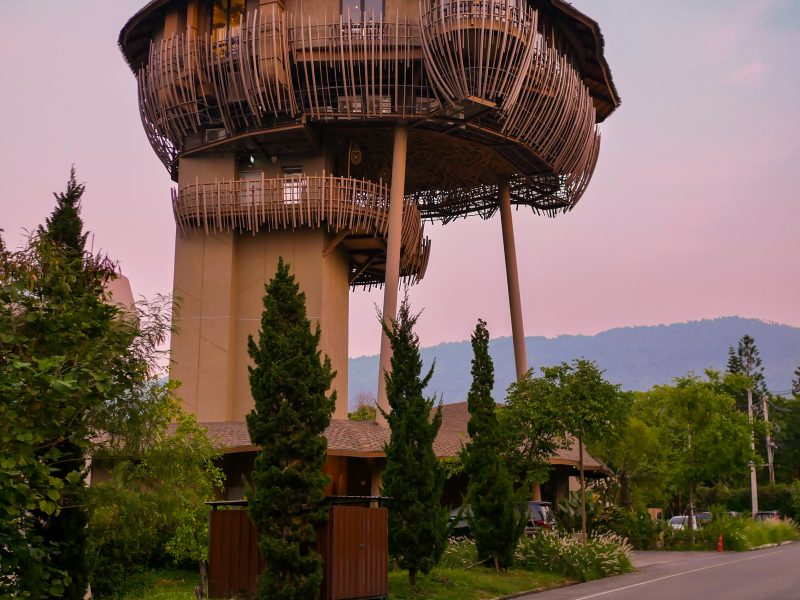 Kuni Kuni – ต้นไม้แห่งชีวิต – เขาใหญ่