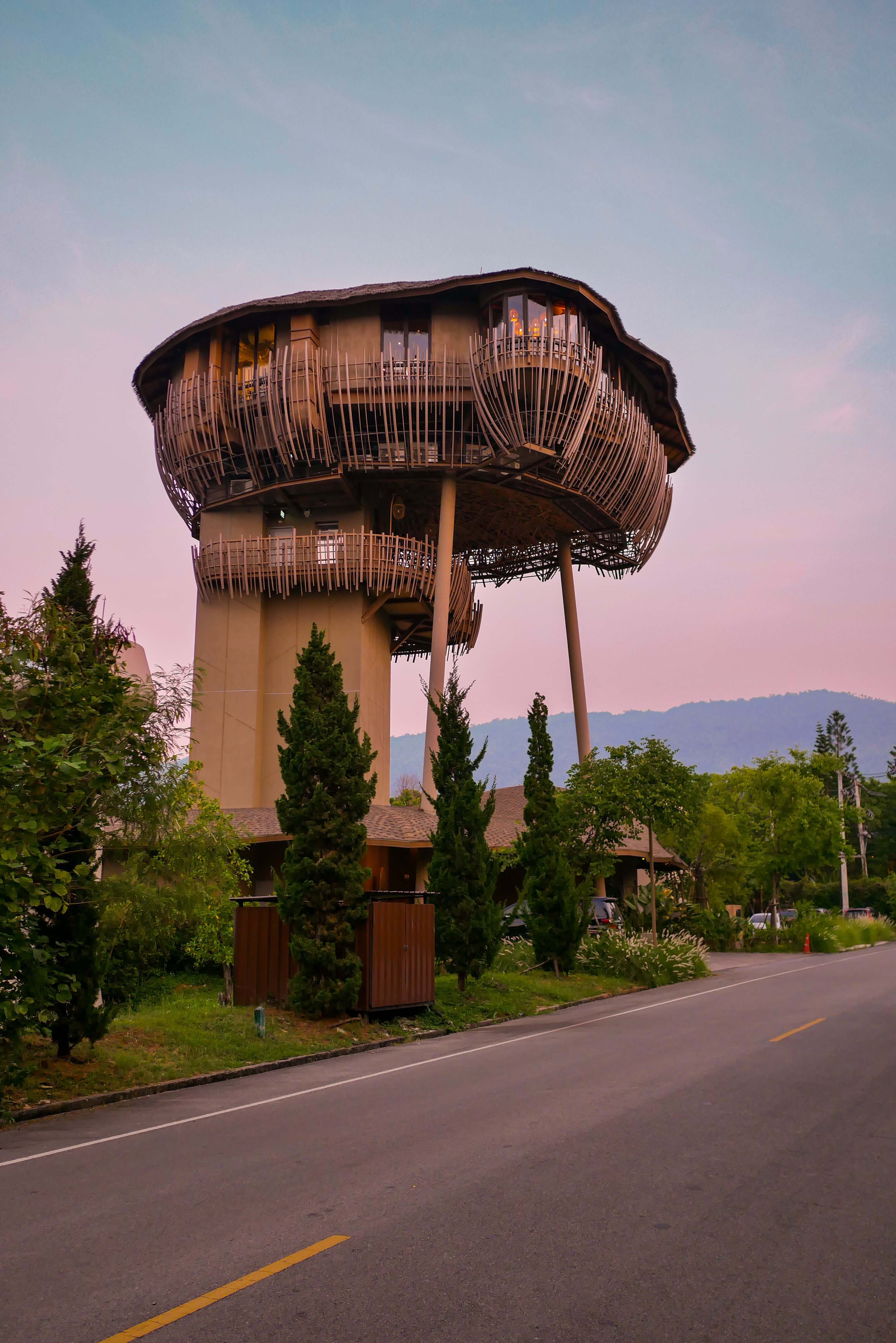 Kuni Kuni – ต้นไม้แห่งชีวิต – เขาใหญ่